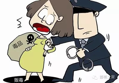 2016年初，涉縣警方查獲一起涉毒案件，鑒于該案涉案人員多、毒品交易量大，涉縣警方立即將案情上報，被公安部確立為“目標-2016-314”號毒品案件。涉縣警方成立專案組，經過多方追查，先后抓獲團伙人員13名，繳獲毒品5349克，并查明上線“濮姐”的真實身份為陳某。